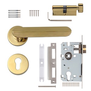 DS-810-79 Gold PVD door handle