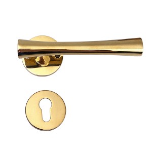 DS-5815-41PVD door handle