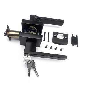 DS-Z100 Black Door handle (Entrance door)