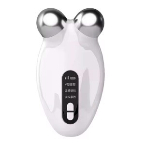 DS-M4005 Facial Massager