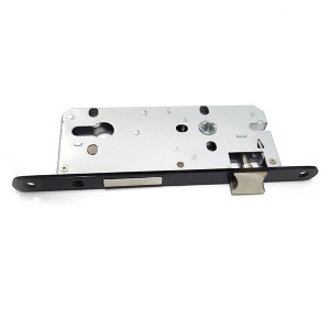 DS-8545 lock body