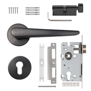 DS-5815-42 Gray and black brushed door handle