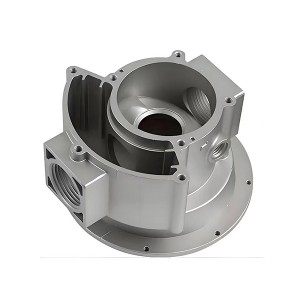 DS-V0007 Automotive Aluminum Alloy Die Casting