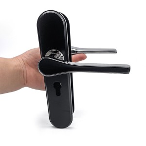 DS-RT62115-C-YH black-bright chrome door handle