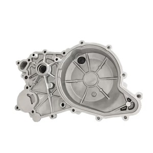 DS-V0004 Automotive Aluminum die casting