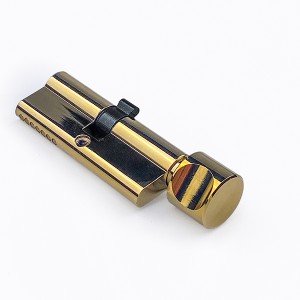 DS-C70-Z1 Gold PVD lock cartridge