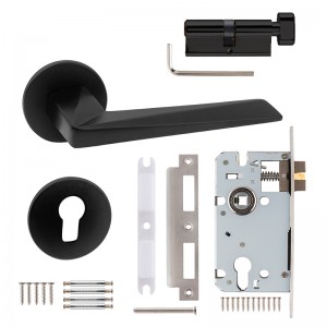 DS-FL25Y Elegant black square door handle